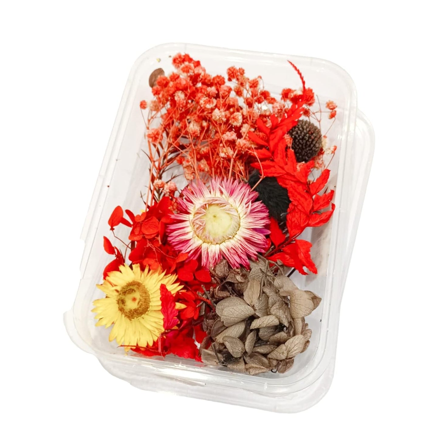 Dry Flower Box, Mixed Flowers, Pink #MG20512