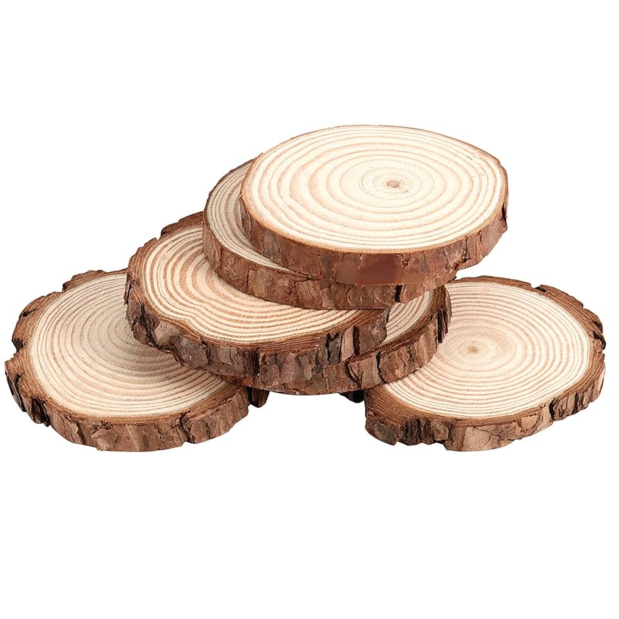 TRC Wooden Log Slice Coaster 10cm #RAW657