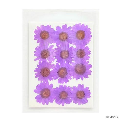 Pressed Flowers Daisy, Lavender, 12pc