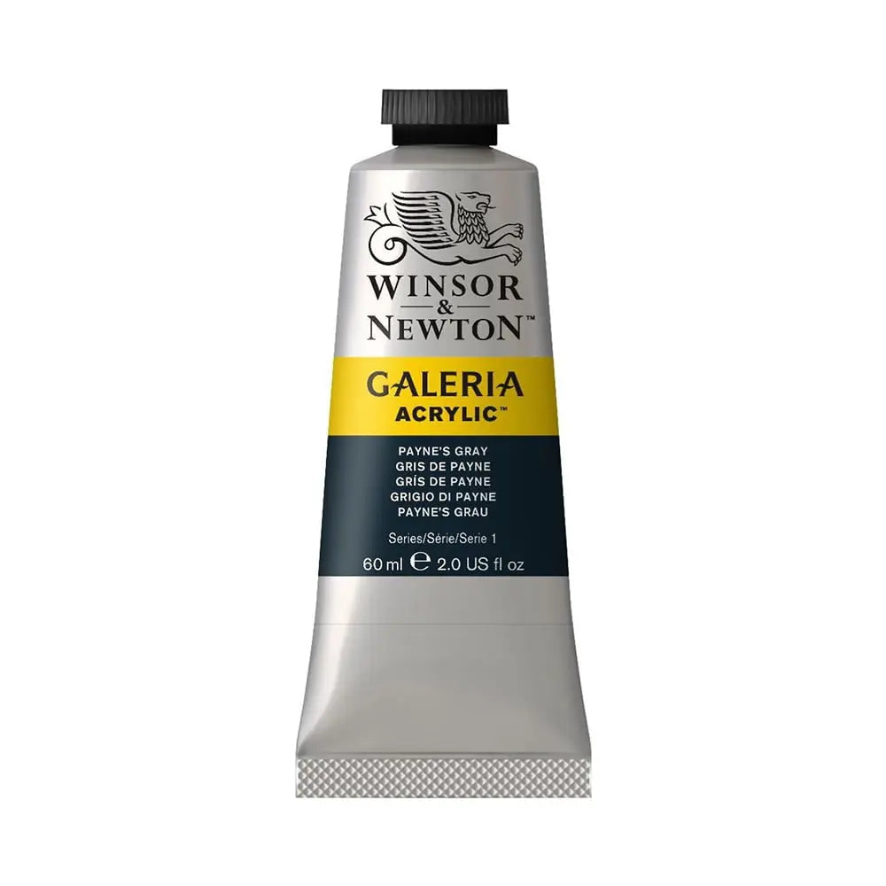 Winsor & Newton Galeria Acrylic Colour Tube Loose, 60ml, Payne's Gray
