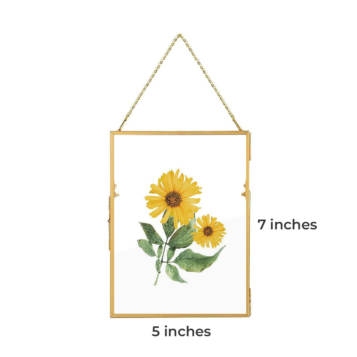 Vintage Floating Glass Frame, Golden, 5x7 inches