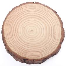 Wooden Slice Round 22-25cm x 2cm #WSR2225