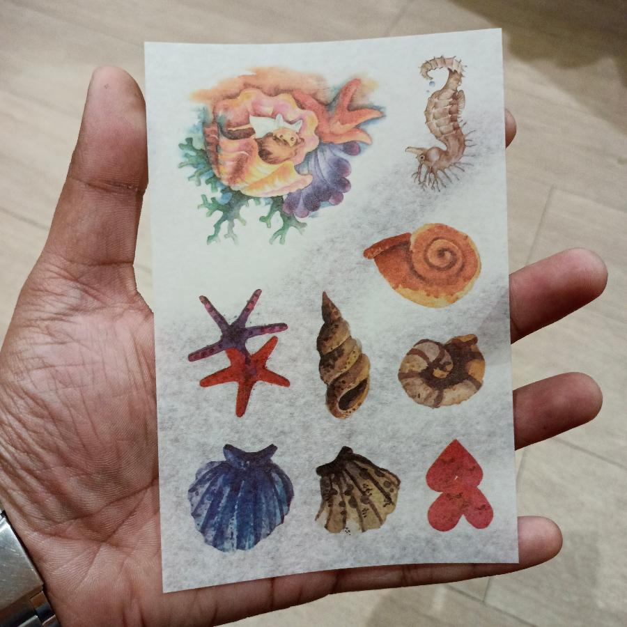 BL Bao Long Tape Stickers Summer Fish 6pc #BL-127