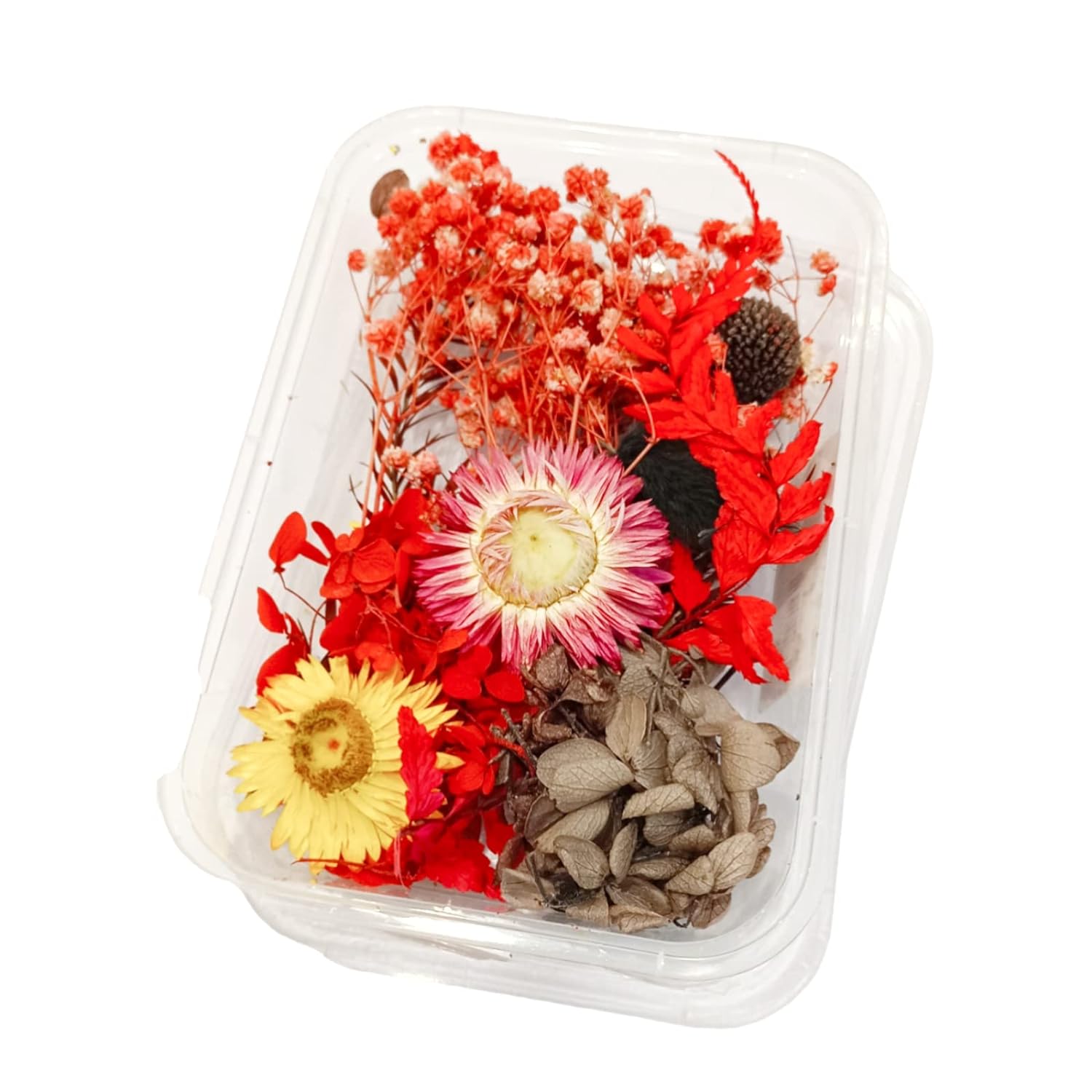 Dry Flowers