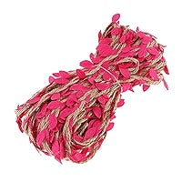 Jute Leaves Rope 5m, Rani
