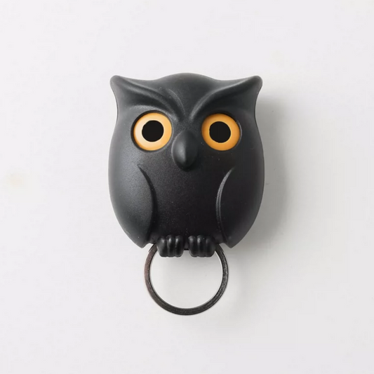 Owl shaped wall mounted key holder with hooks