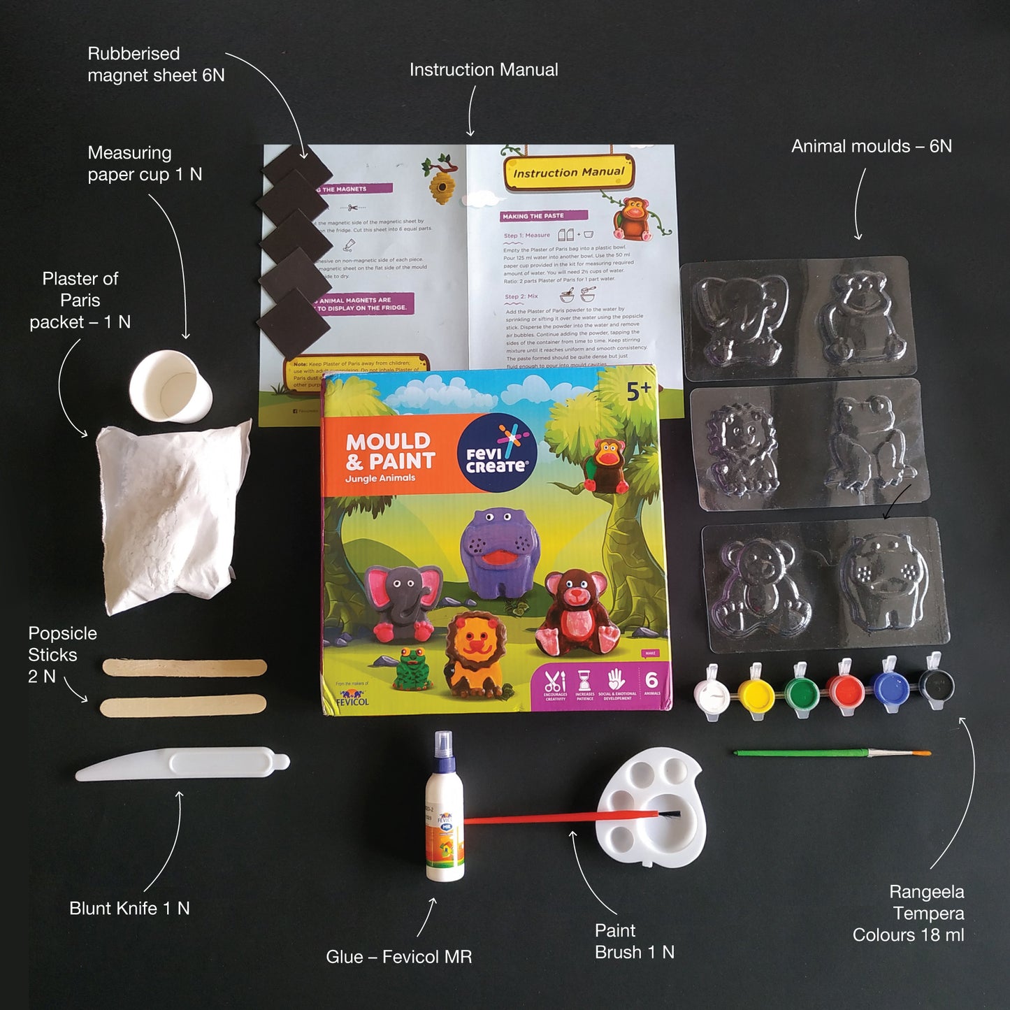 Pidilite Fevi Create DIY Kit, Mould & Paint