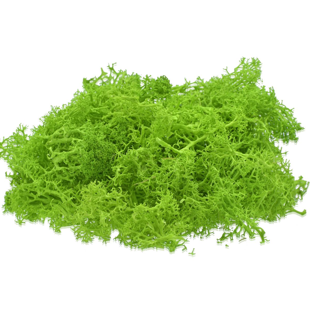 Generic Artifcial Reindeer Moss, Light Green