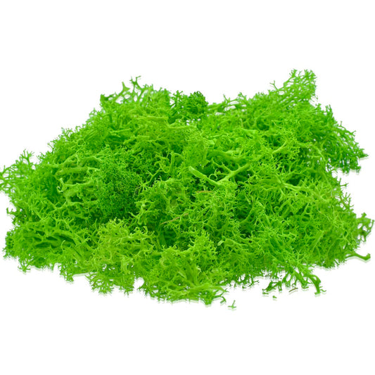 Generic Artifcial Reindeer Moss, Light Green