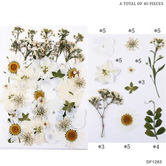 Pressed Flowers Mix #DF1283