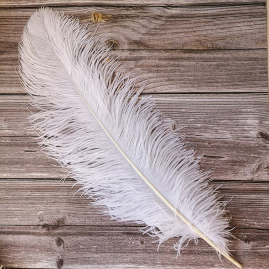 Artificial Ostritch Feather 50-55cm 1pc