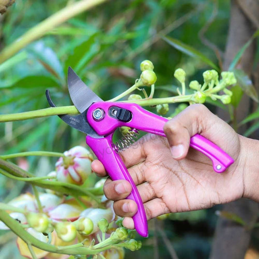 Pruner Steel Scissor Cutter #5093